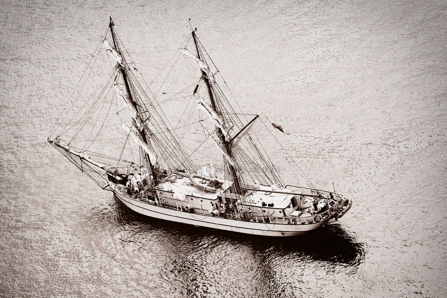 Zlot Żaglowców Gdynia 2009. Regaty (CUTTY SARK) “The Tall Ship`s Races” cz 2 z 2. 314