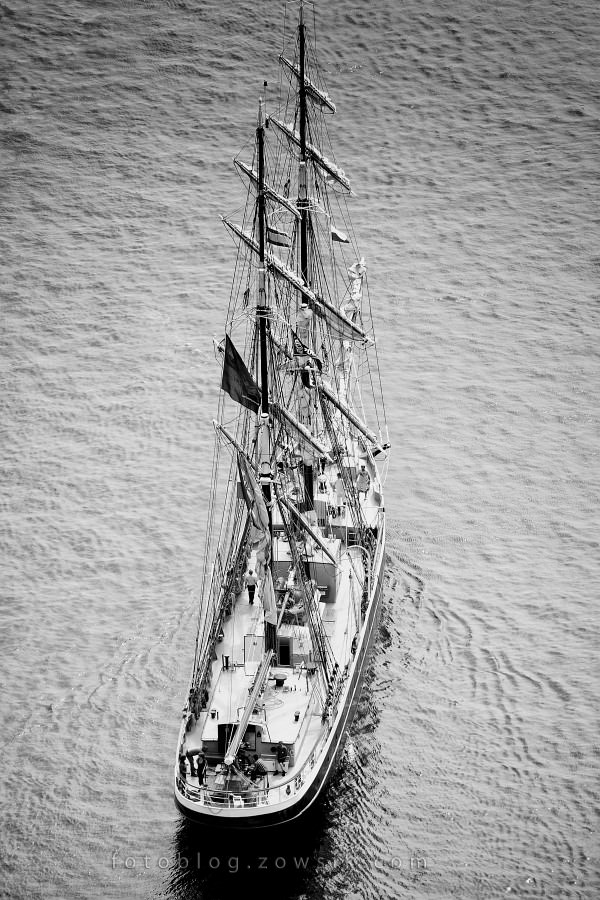 Zlot Żaglowców Gdynia 2009. Regaty (CUTTY SARK) “The Tall Ship`s Races” cz 2 z 2. 319