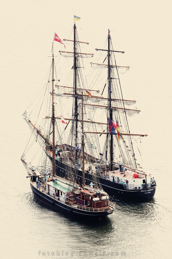 Zlot Żaglowców Gdynia 2009. Regaty (CUTTY SARK) “The Tall Ship`s Races” cz 2 z 2. 201