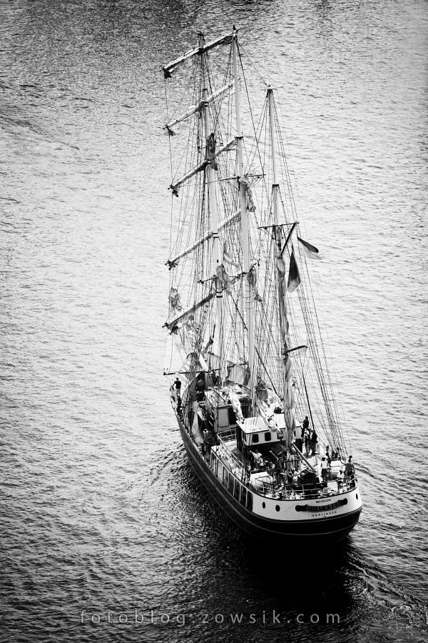 Zlot Żaglowców Gdynia 2009. Regaty (CUTTY SARK) “The Tall Ship`s Races” cz 2 z 2. 323