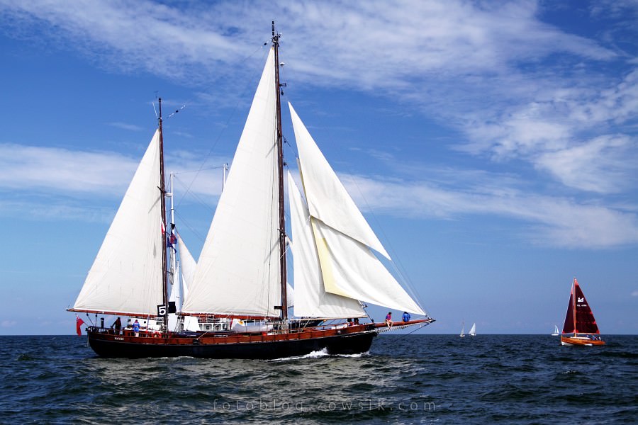 Zlot Żaglowców Gdynia 2009. Regaty (CUTTY SARK) “The Tall Ship`s Races” cz 2 z 2. 329