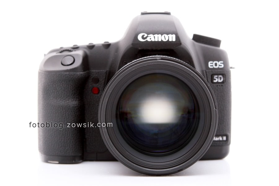 Sigma 85 mm f/1.4 EX DG HSM + Canon 5D Mark II – 57 zdjęć testowych. 85mm sample photo 5dmk2. 253