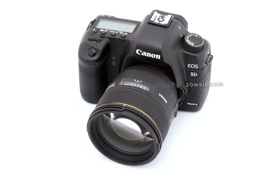Sigma 85 mm f/1.4 EX DG HSM + Canon 5D Mark II – 57 zdjęć testowych. 85mm sample photo 5dmk2. 254