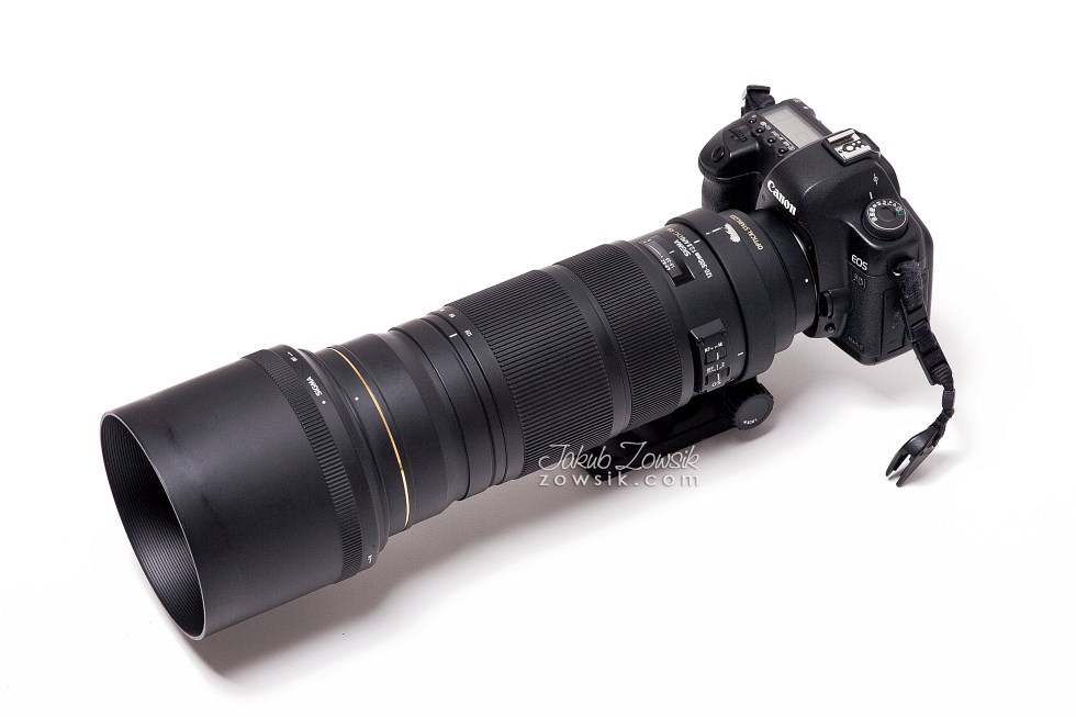 Zdjęcia testowe (51): Sigma 120-300 mm f/2.8 APO EX DG OS HSM + Canon 5D Mark II . sample 874