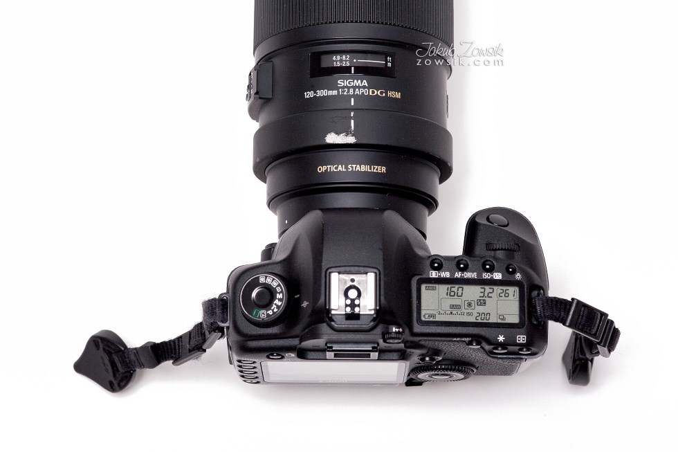 Zdjęcia testowe (51): Sigma 120-300 mm f/2.8 APO EX DG OS HSM + Canon 5D Mark II . sample 247