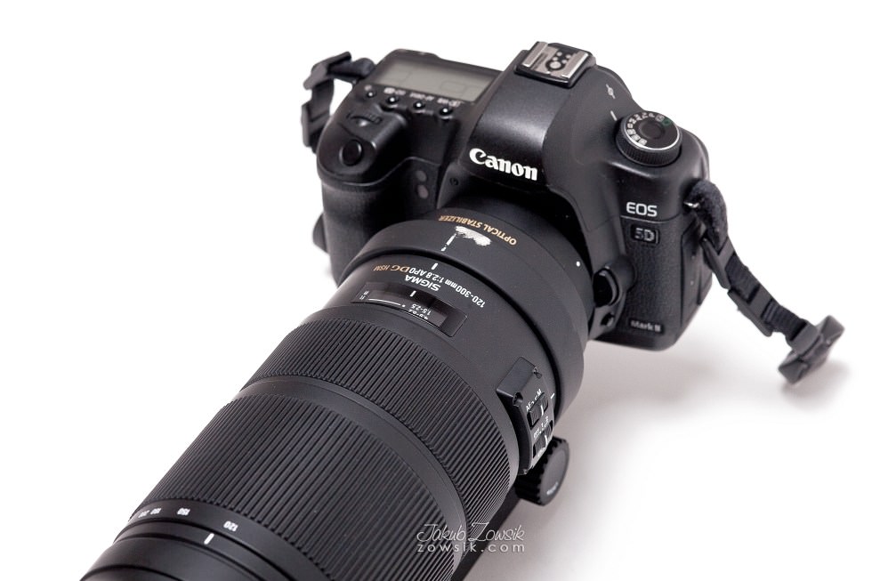 Zdjęcia testowe (51): Sigma 120-300 mm f/2.8 APO EX DG OS HSM + Canon 5D Mark II . sample 876